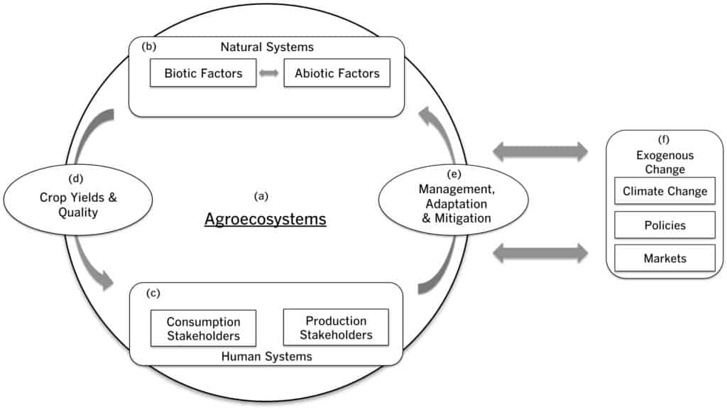 Socio-ecological systems framework to examine climate effects of crop quality and farmer responses.This socio-ecological systems framework integrates two underutilized concepts on specialty crop quality and agroecological management that can be applied for future studies on climate effects on specialty crop systems. Agroecosystems (Figure 4a) are the foundation of this framework with natural (or biophysical) components (Figure 4b) that produce crops and human components that interact with these crops (Figure 4c) through dynamic feedbacks (Figure 4d and 4e). Consumers (Figure 4c) may perceive changes in crop yields and quality (Figure 4d) via market signals and sensory profiles that may be more or less desirable for consumers depending on their preferences. Farmers and other natural resource managers may alter the way they manage their agroecosystems in response to consumer decision-making and markets as well as on the basis of their own direct observations, knowledge, and social networks through a range of management, adaptation, and mitigation strategies (Figure 4e). The large arrows linking the agroecosystem (Figure 4a) to exogenous change (Figure 4f) highlights that agroecosystems are human-managed ecosystems that impact, and are impacted by, exogenous variables.