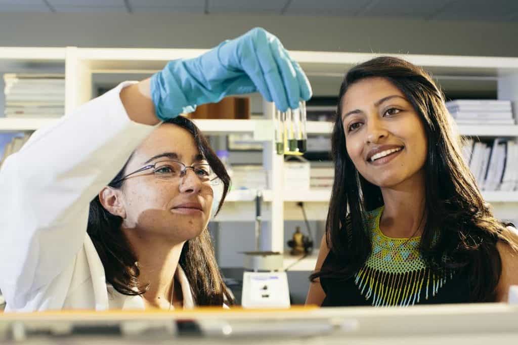 Selena Ahmed, right, assistant professor of sustainable food systems, examines a sample of maple sap recently harvested and prepared for testing with Rocio Rivas, research assistant and lab manager, in the Montana State University Food and Health Laboratory in Bozeman, Mont. on Tuesday, Aug. 30, 2016. Prof. Ahmed is currently researching the climate change effects on maple syrup.MSU Photo by Adrian Sanchez-Gonzalez