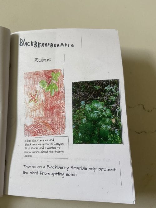 Use These Field Guides at Home as an Activity during School Closures