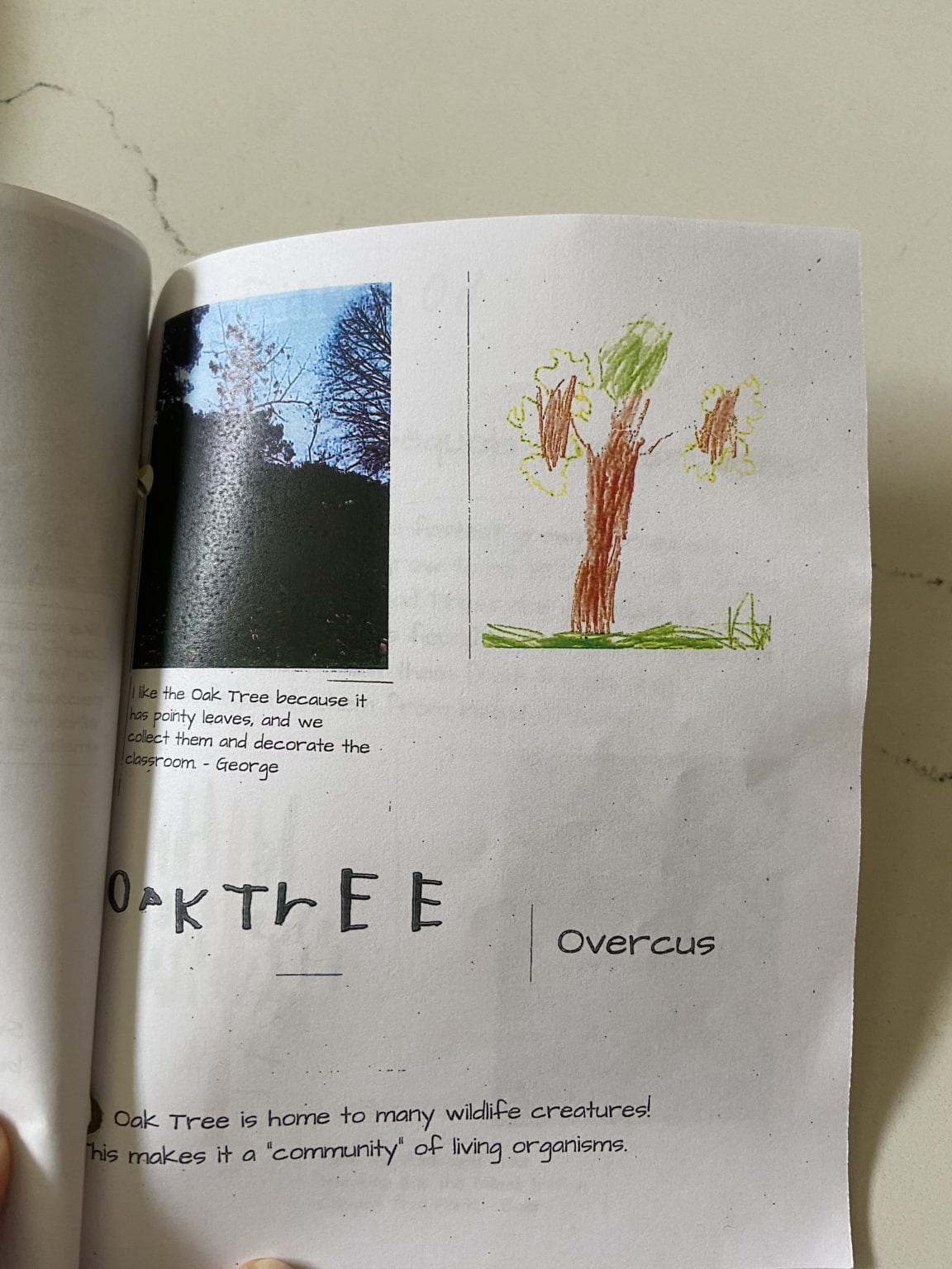 Use These Field Guides at Home as an Activity during School Closures